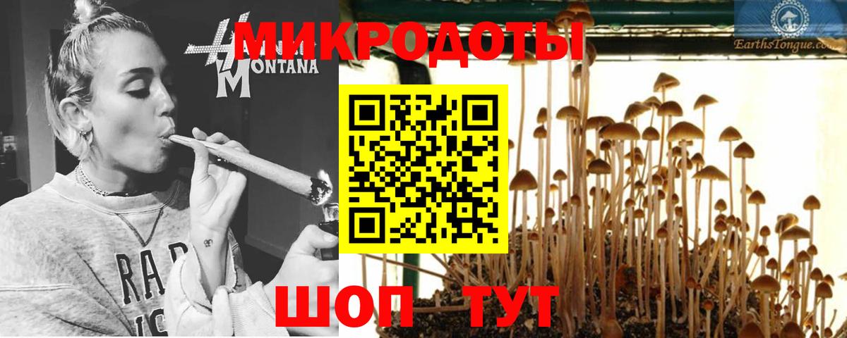 Псилоцибиновые грибы мухоморы Саратов