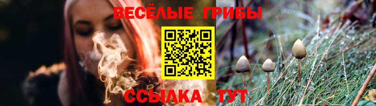 продажа наркотиков  Вход с VPN  Саратов  Псилоцибиновые грибы ЛСД  Галлюциногенные грибы MAGIC MUSHROOMS 
